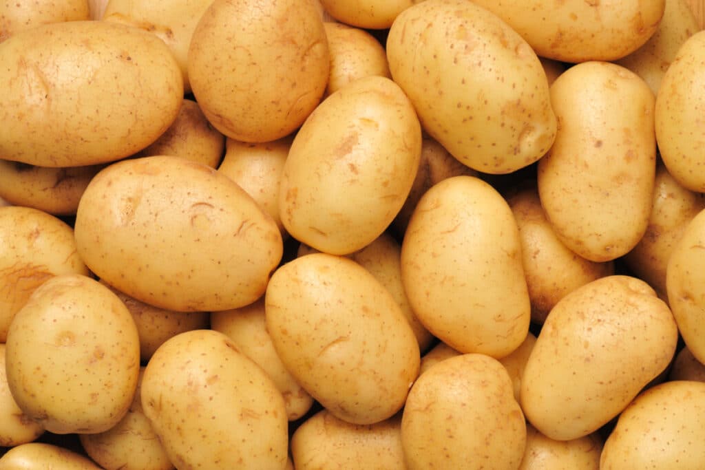 The Spud Act is one of the most unfair laws in Ireland of all time.
