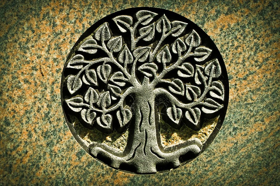 Celtic Tree of Life – representing eternal life and love