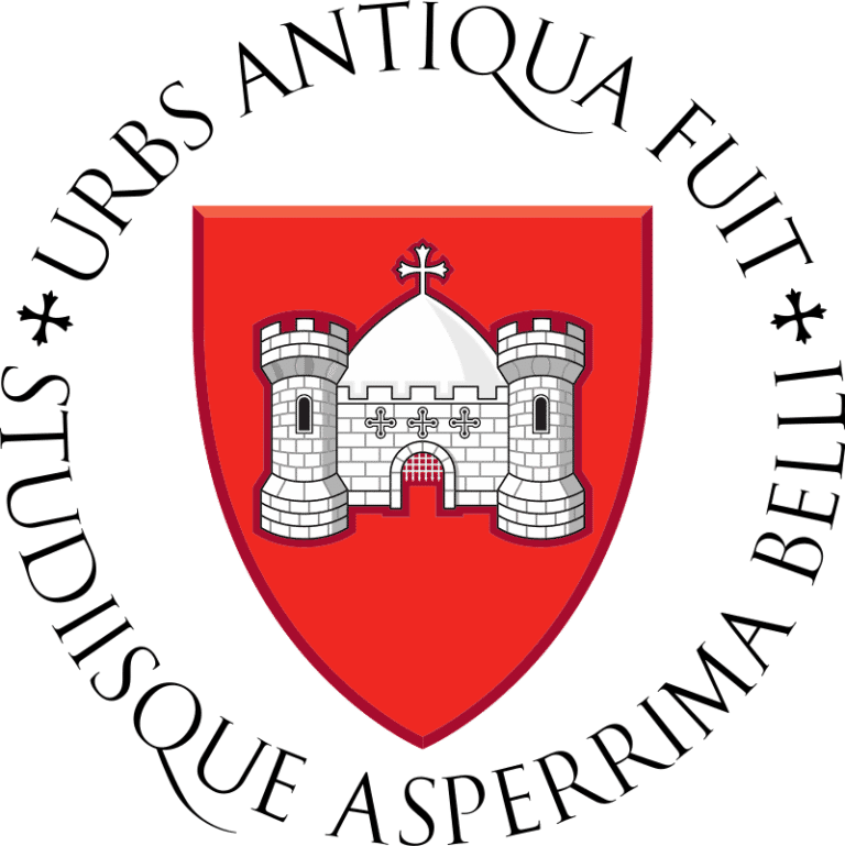 TOP 10 FUN facts about LIMERICK you never knew