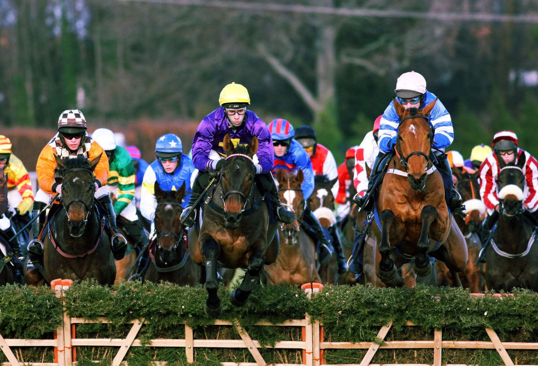 The incredible Irish Champion Stakes in County Dublin is among the best annual Irish horse racing events.