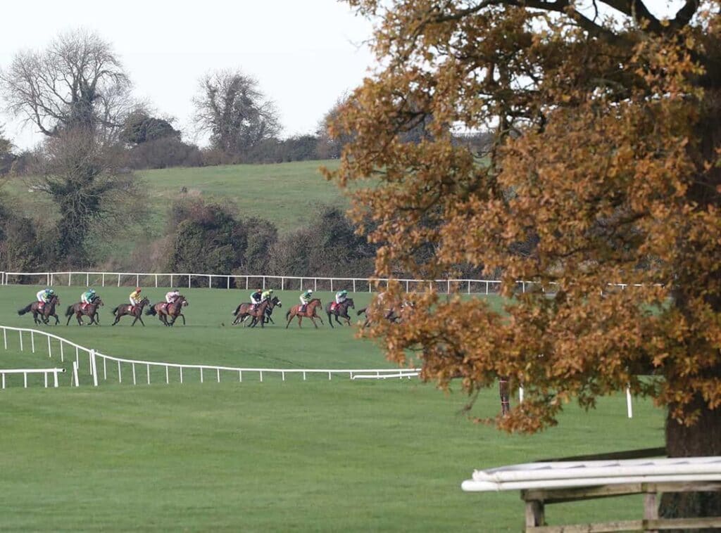 Punchestown Racecourse is one of the most famous horse racing tracks in Ireland.