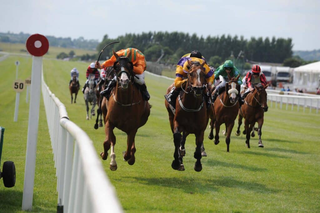 Curragh Racecourse is one of the best spots to watch horse racing in Ireland.