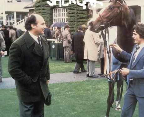 Shergar: the horse allegedly kidnapped by the IRA.