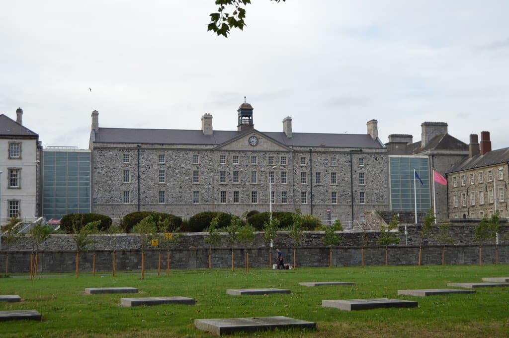 It is believed that the skeletal remains will be prepared for acquisition by the National Museum of Ireland.
