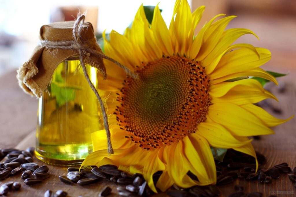 We all grew up around the smell of sunflower oil.