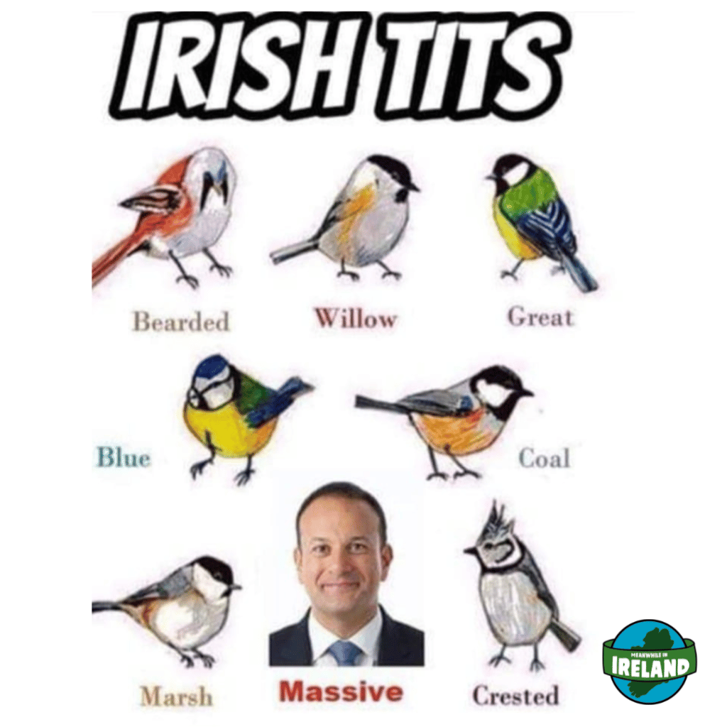 This is one of the best Irish memes on the internet.