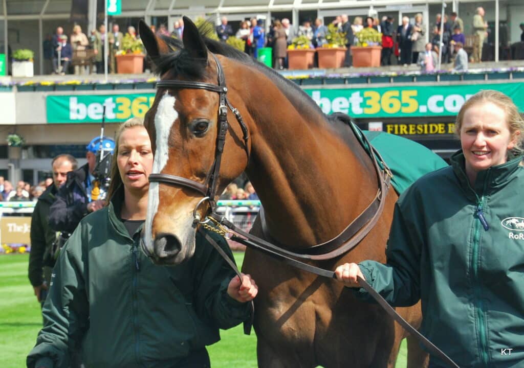 Kauto Star was a French-bred, Irish-trained thoroughbred.
