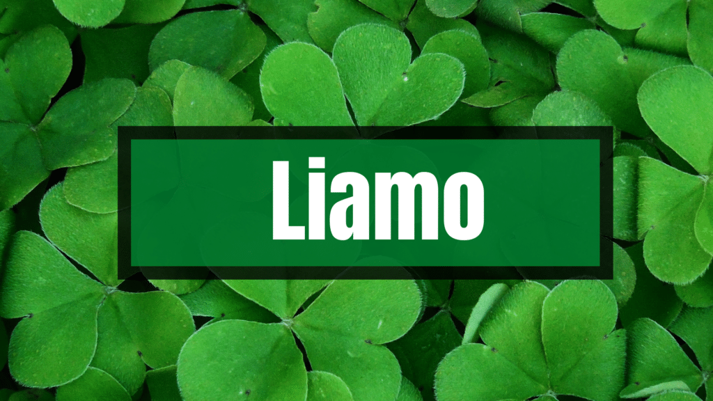 Liamo is a Top 10 smick names for your newborn.