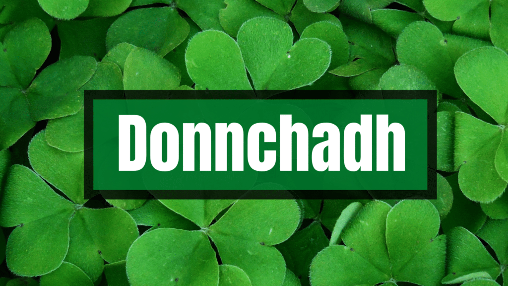 Donnachadh is one of the top 20 beautiful Irish boy names.