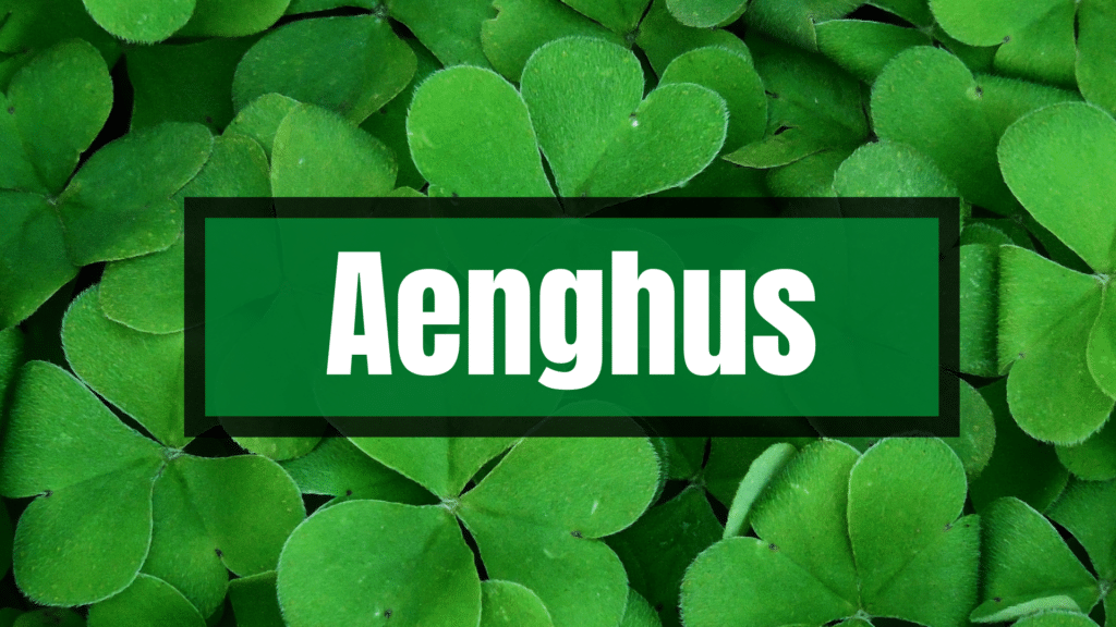 Aenghus is one of the top 20 beautiful Irish boy names.