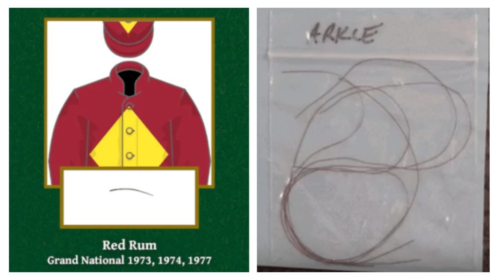 A strand of Red Rum's hair (left) and Arkle's hair (right) available at Paul Fraser Collectibles.