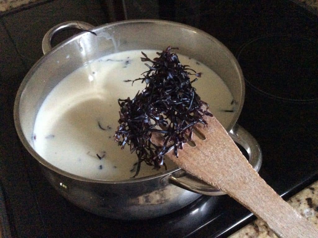 Carrageen moss is one of the Irish foods tourists can’t handle.