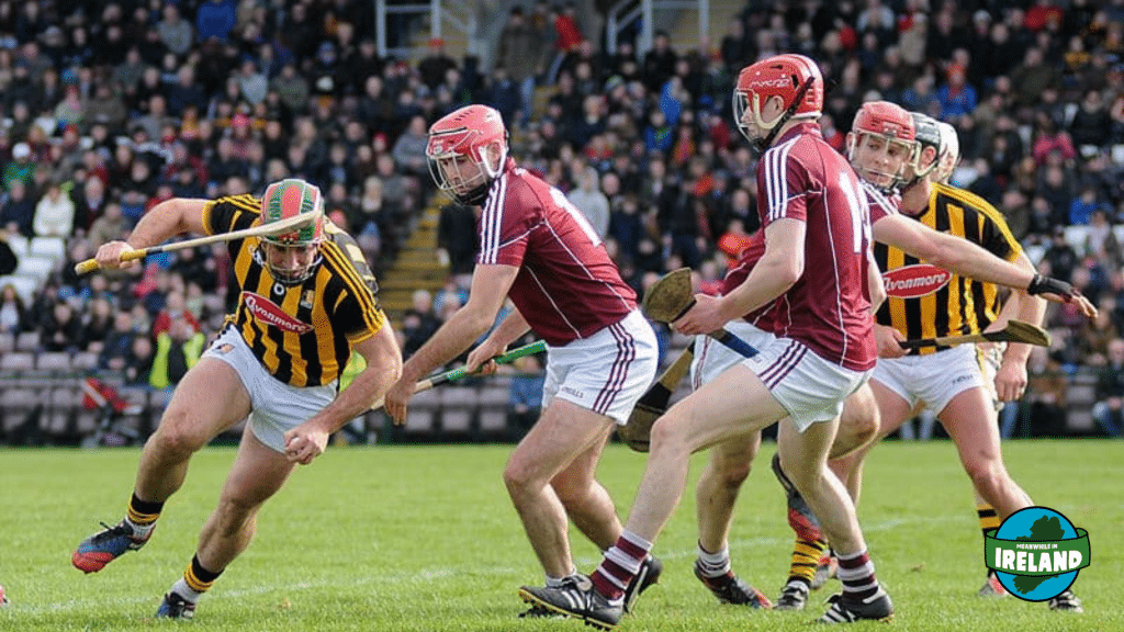 Players in the middle of a hurling match.