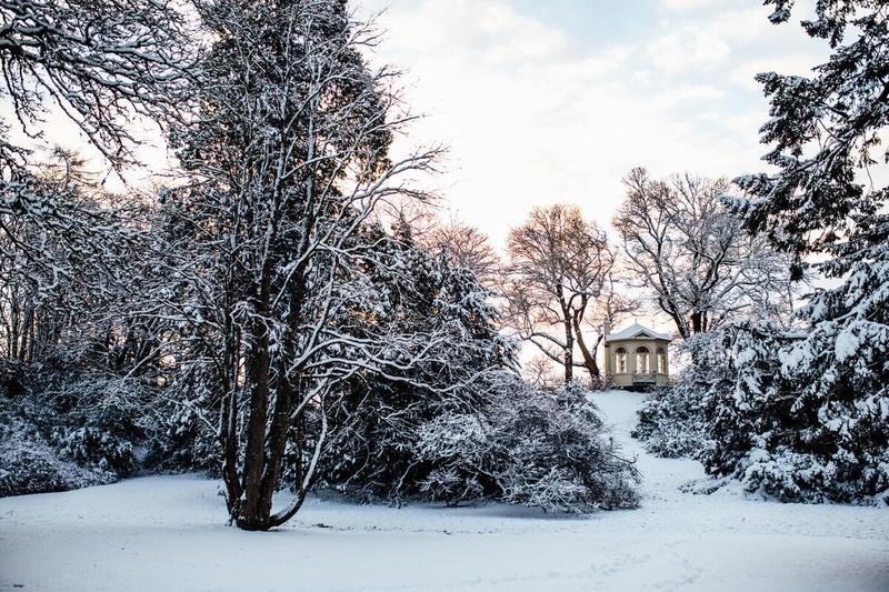 Winter landscape with lots of snow.