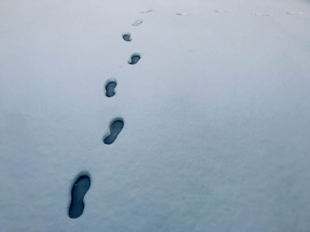 Footprints in the snow.
